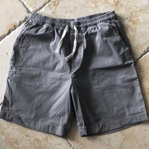 Chubbies Mens Small Shorts